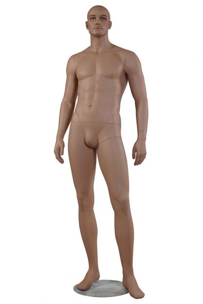 Male Mannequin